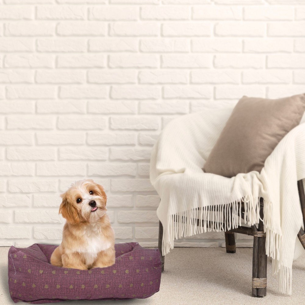 Cuccia morbido cuscino imbottito 551493 per...