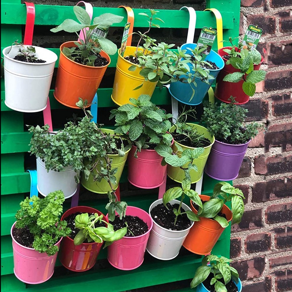 Set 10 vasi porta fiori in ferro 17x10x8 con...