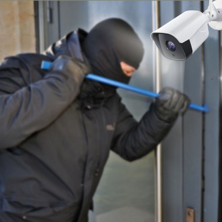 Telecamera IP di sorveglianza 2 MP cloud 008882 con memoria micro SD