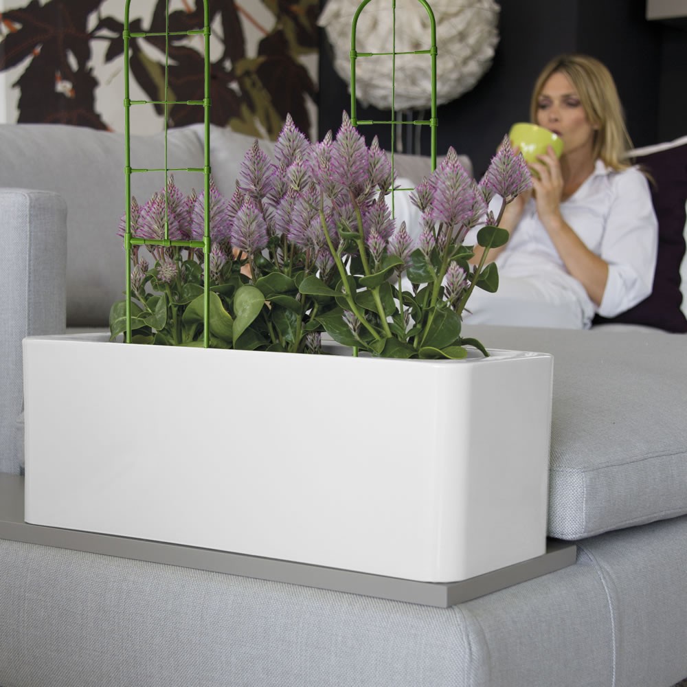 Supporto a Forma di Traliccio 395158 Telaio...