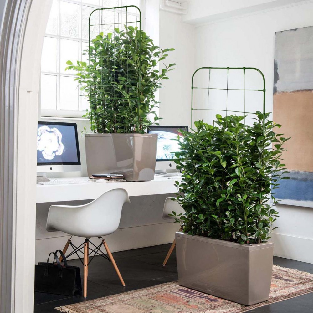 Supporto a Forma di Traliccio 395165 Telaio...