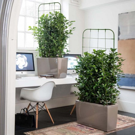 Supporto a Forma di Traliccio 395165 Telaio Piante Rampicanti Fai da Te 91x39