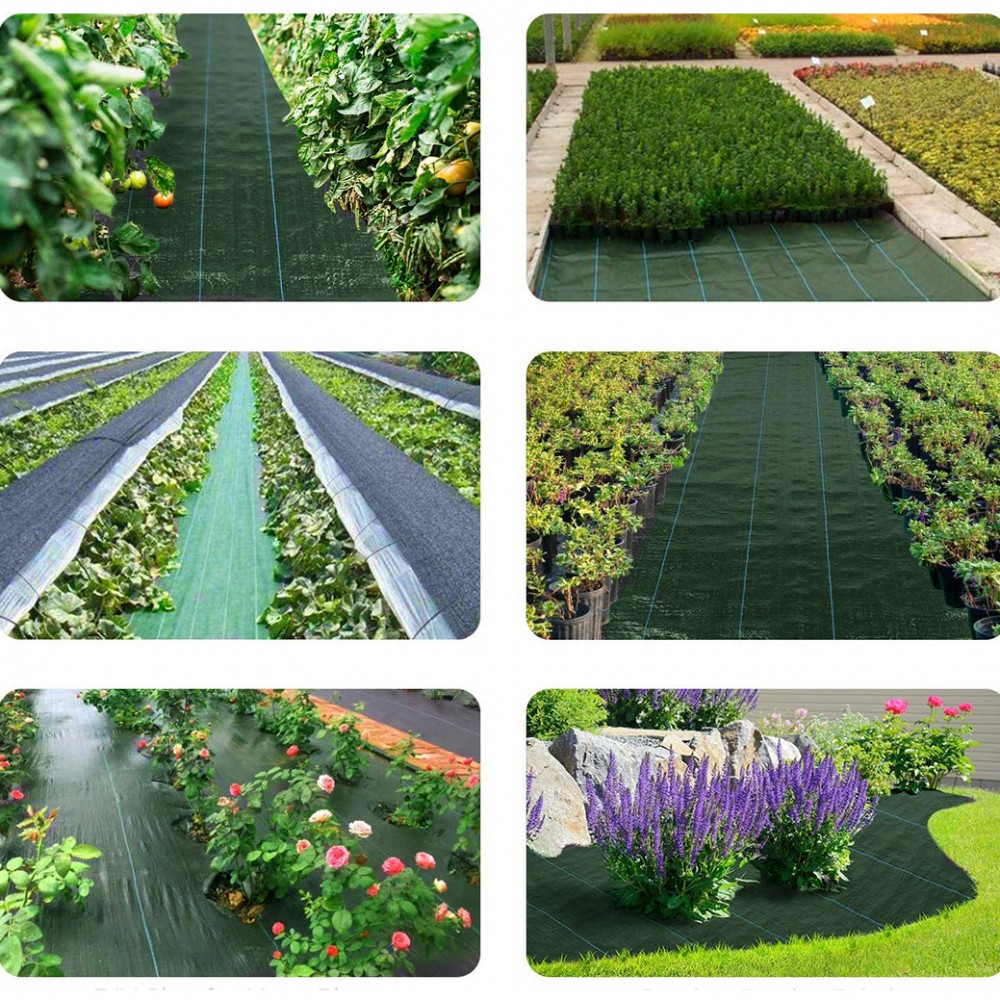 Rotolo per Pacciamatura 518724 Telo in Plastica...