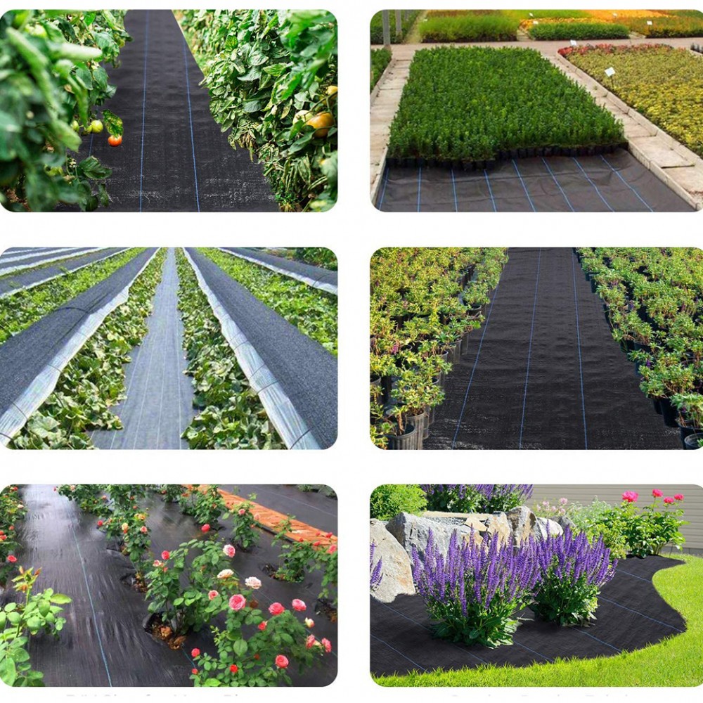 Rotolo per Pacciamatura 518731 Telo in Plastica...