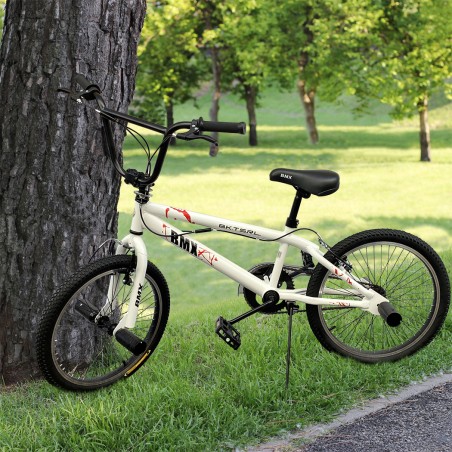 Bicicletta BMX SPOKES WHEEL FreeStyle taglia 20 Bici Telaio in Acciaio Jumper