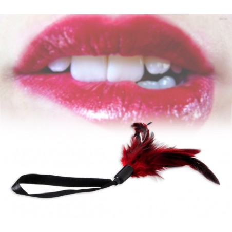 Set di 4 accessori sadomaso sexy Premium gioco bondage di coppia rosso con manette e mascherina in velluto 