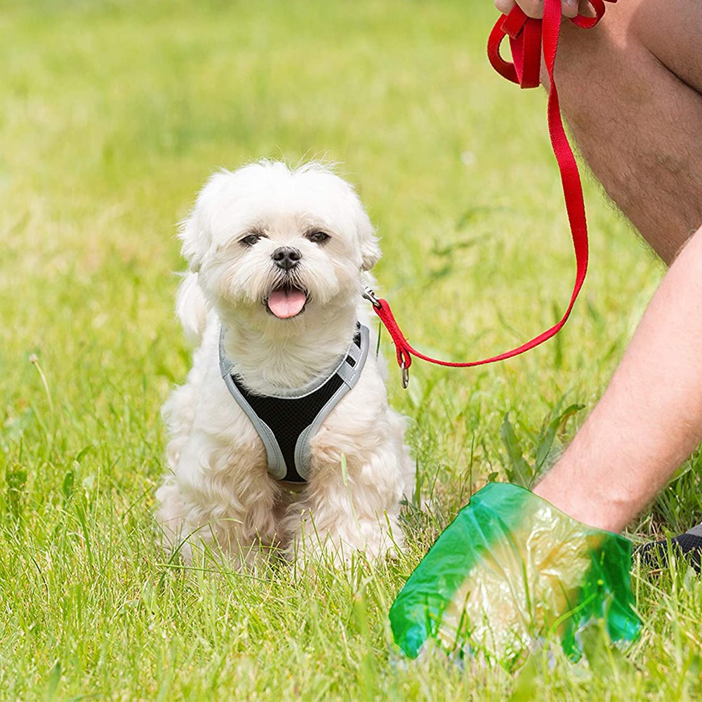 Rotolino 15 sacchetti escrementi animali art....