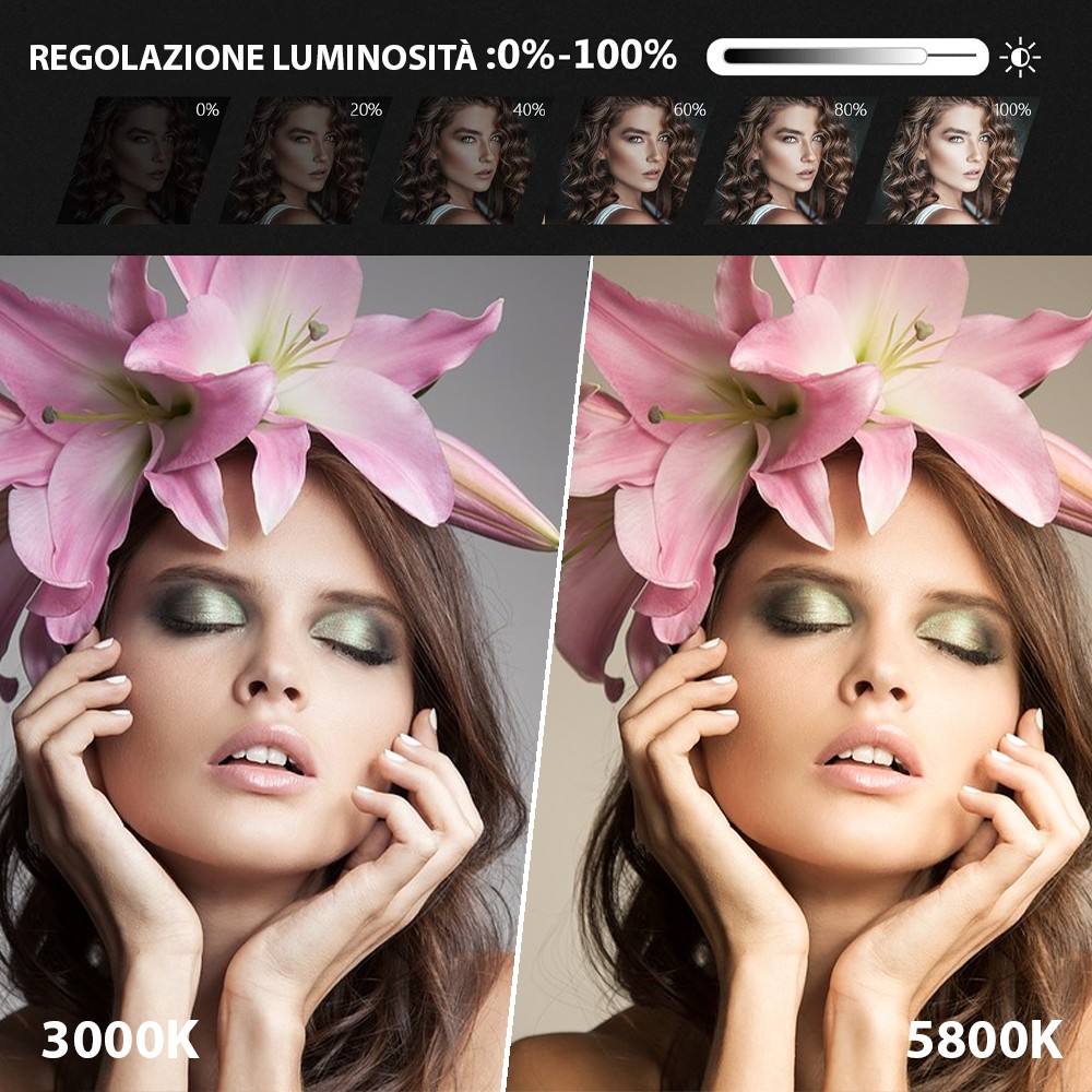 Lampada Anello Luce Led 187158 da 35cm...