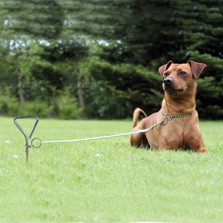 Picchetto a trivella 4561 outdoor per il fissaggio del guinzaglio del cane