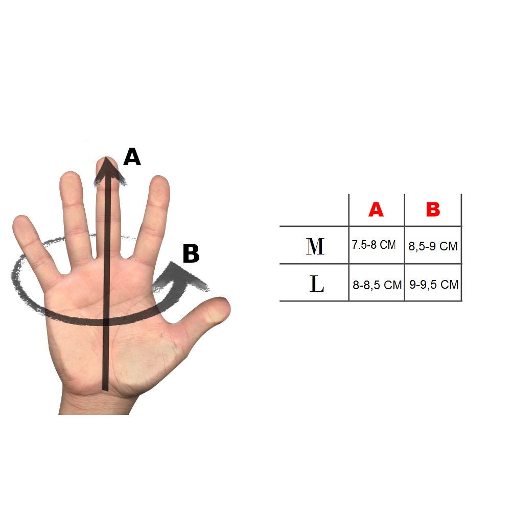 100 pz Guanti Monouso Dealo trasparenti taglia...