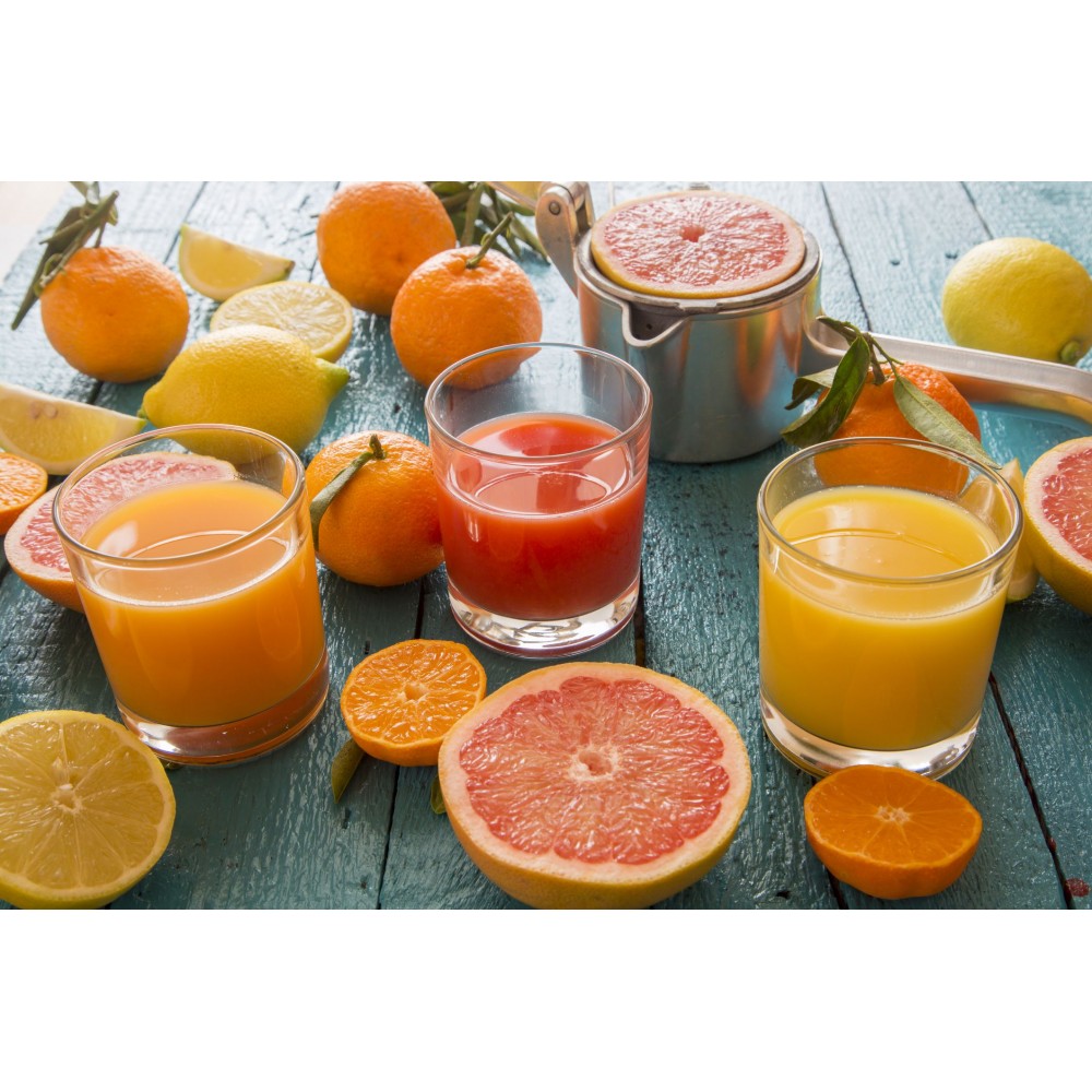 Spremiagrumi DICTROLUX 20W con sistema a...