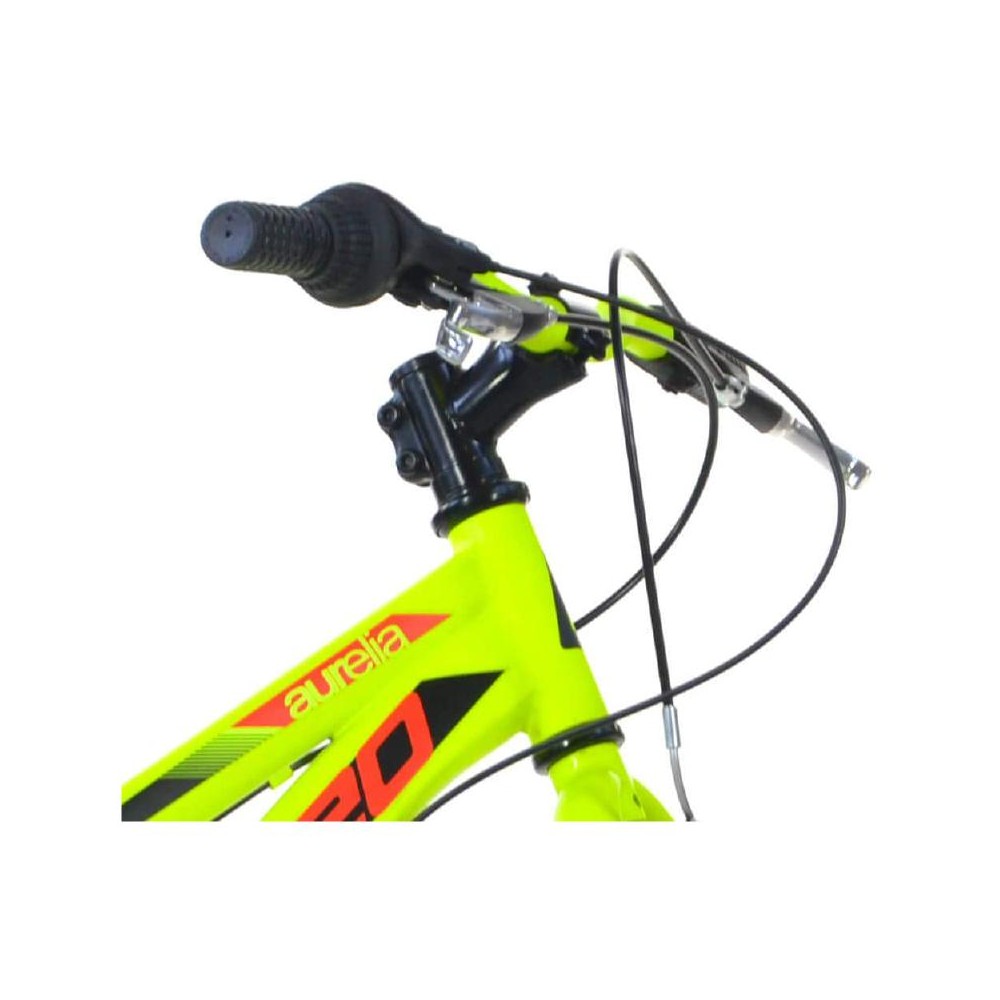 Bici 20 MTB Plus Dino Bikes Art. 420-UP 6-10...