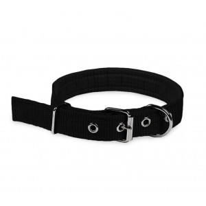 Collare in nylon Phoenix con imbottitura per cani taglia media fibbia regolabile