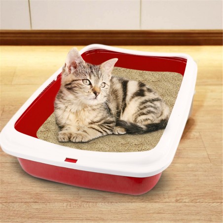Lettiera Aperta per Gatti BIG 49x39x12H cm con Paletta e Bordi Rialzati 10547