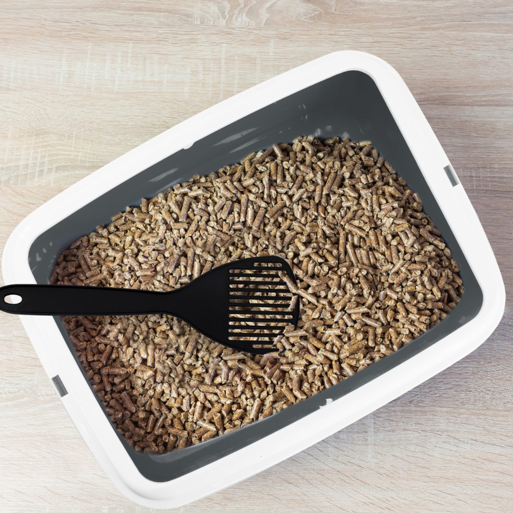 Lettiera Aperta per Gatti BIG 49x39x12H cm con...