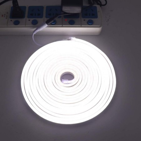 Strip Led Neon Flessibile 5m Striscia con Luci 120 Led per Interni ed Esterni