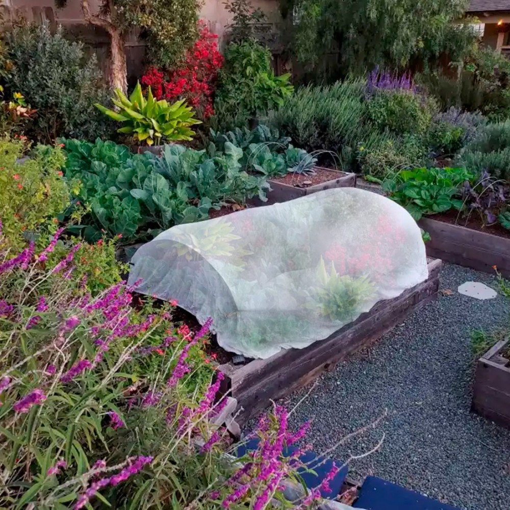 Rotolo di Telo Protezione Piante 15mt Copertura...