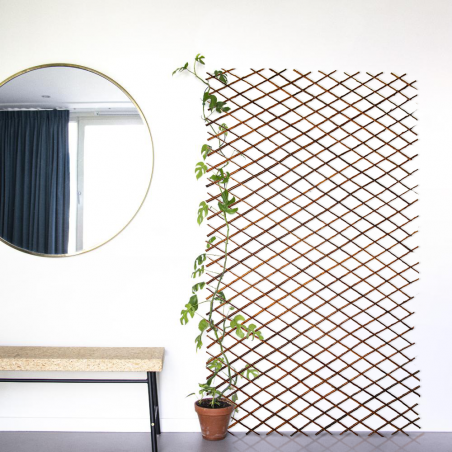 Steccato Estensibile in Legno da 35 a 262 cm Traliccio Decorativo per Piante