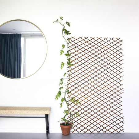 Steccato Estensibile in Legno da 36 a 230 cm Traliccio Decorativo per Piante