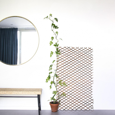 Steccato Estensibile In Legno Da 35 a 250 Cm Traliccio Decorativo Per Piante