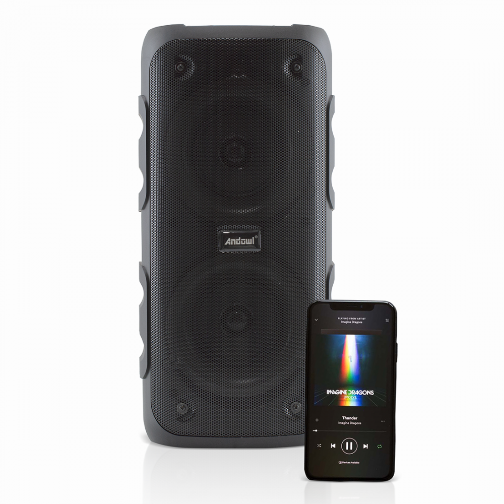 Cassa Bluetooth Altoparlante Wireless Karaoke con Luci RGB Radio FM Portatile