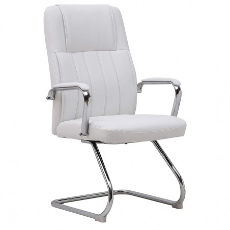 Poltrona per Sala d'Attesa e Ufficio Xeno 2 Seduta in Ecopelle e Acciaio