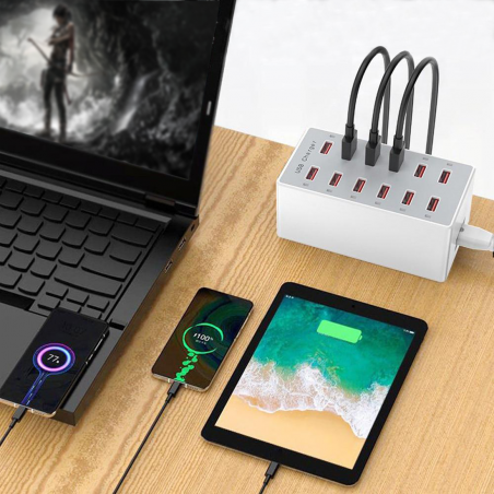 Stazione di Ricarica Multipla Veloce 615493 Caricabatterie USB 12 Porte 60W