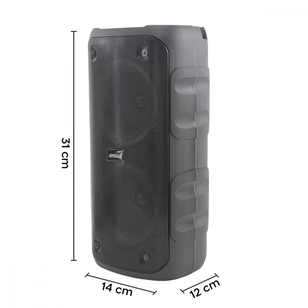 Cassa Bluetooth Altoparlante Wireless Karaoke...