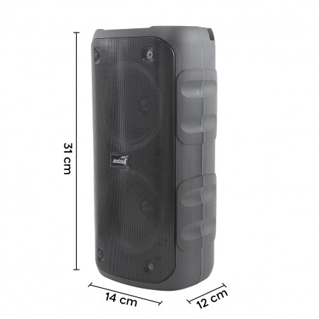 Cassa Bluetooth Altoparlante Wireless Karaoke con Luci RGB Radio FM Portatile