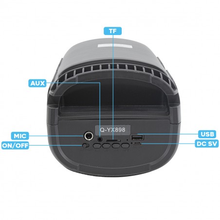 Cassa Bluetooth Altoparlante Wireless Karaoke con Luci RGB Radio FM Portatile