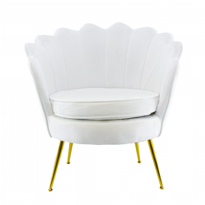 Poltrona Schienale a Conchiglia VENERE in Velluto Vintage... 2