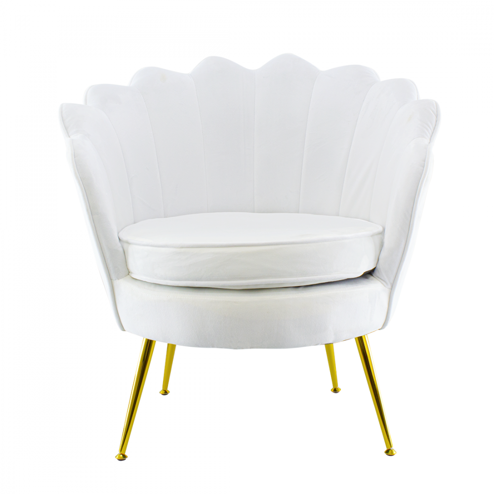 Poltrona Schienale a Conchiglia VENERE in...