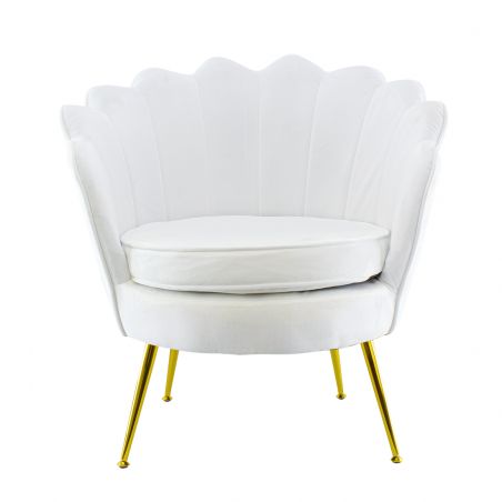 Poltrona Schienale a Conchiglia VENERE in Velluto Vintage Piedi Oro da Salotto