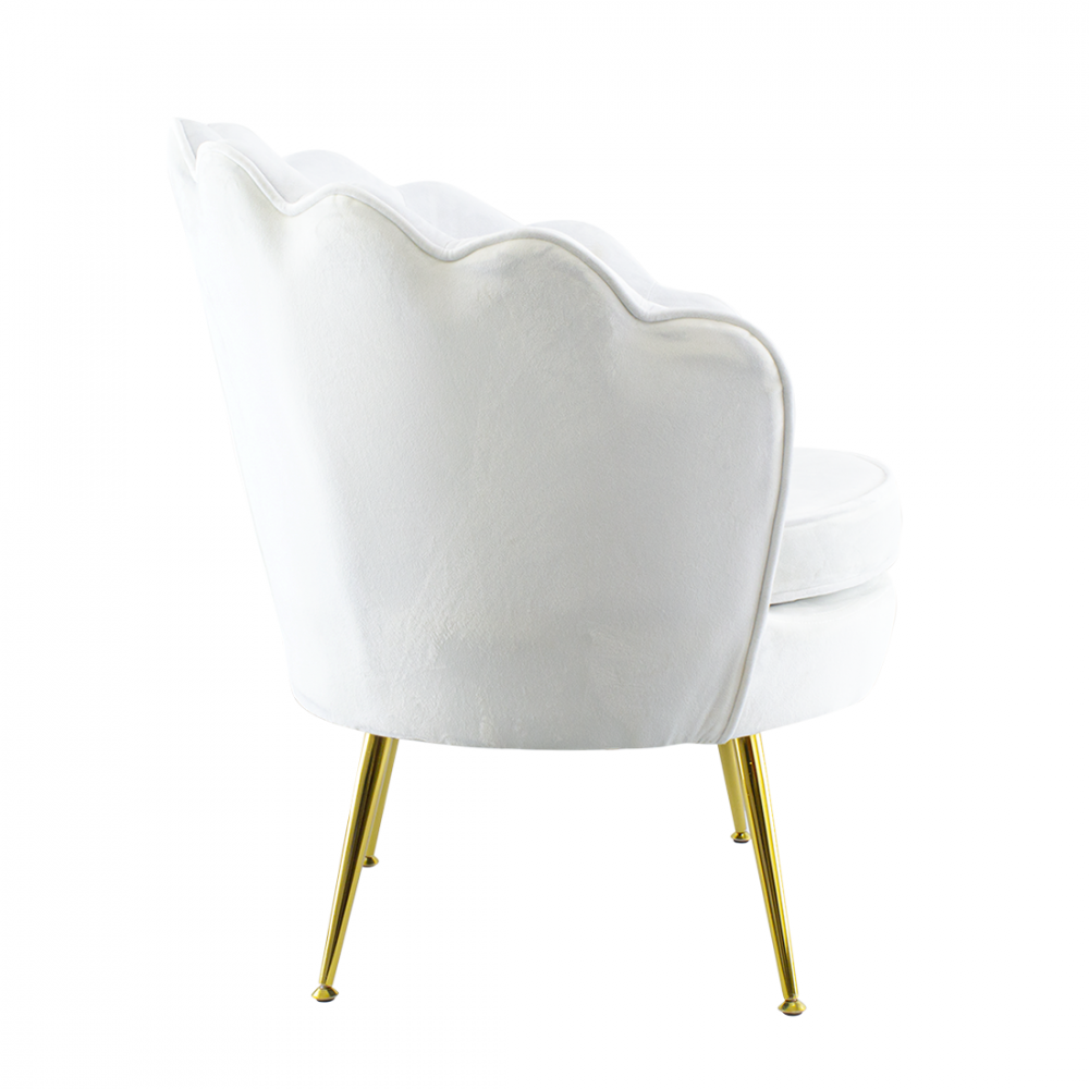 Poltrona Schienale a Conchiglia VENERE in...