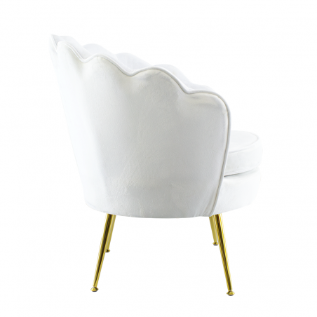 Poltrona Schienale a Conchiglia VENERE in Velluto Vintage Piedi Oro da Salotto