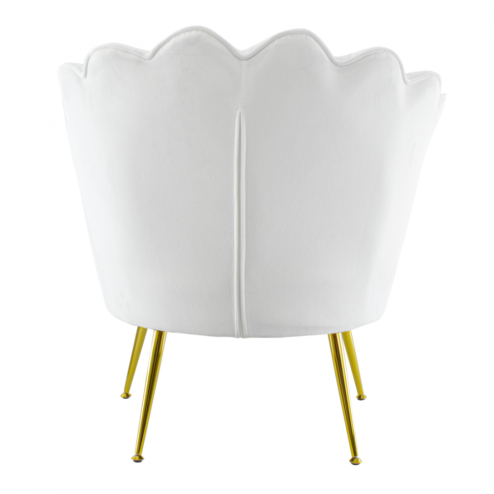 Poltrona Schienale a Conchiglia VENERE in...