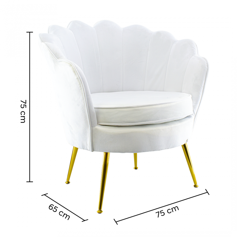 Poltrona Schienale a Conchiglia VENERE in...