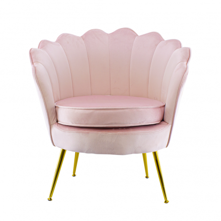 Poltrona Schienale a Conchiglia VENERE in Velluto Vintage Piedi Oro da Salotto