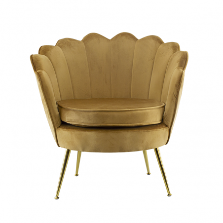 Poltrona Schienale a Conchiglia VENERE in Velluto Vintage Piedi Oro da Salotto