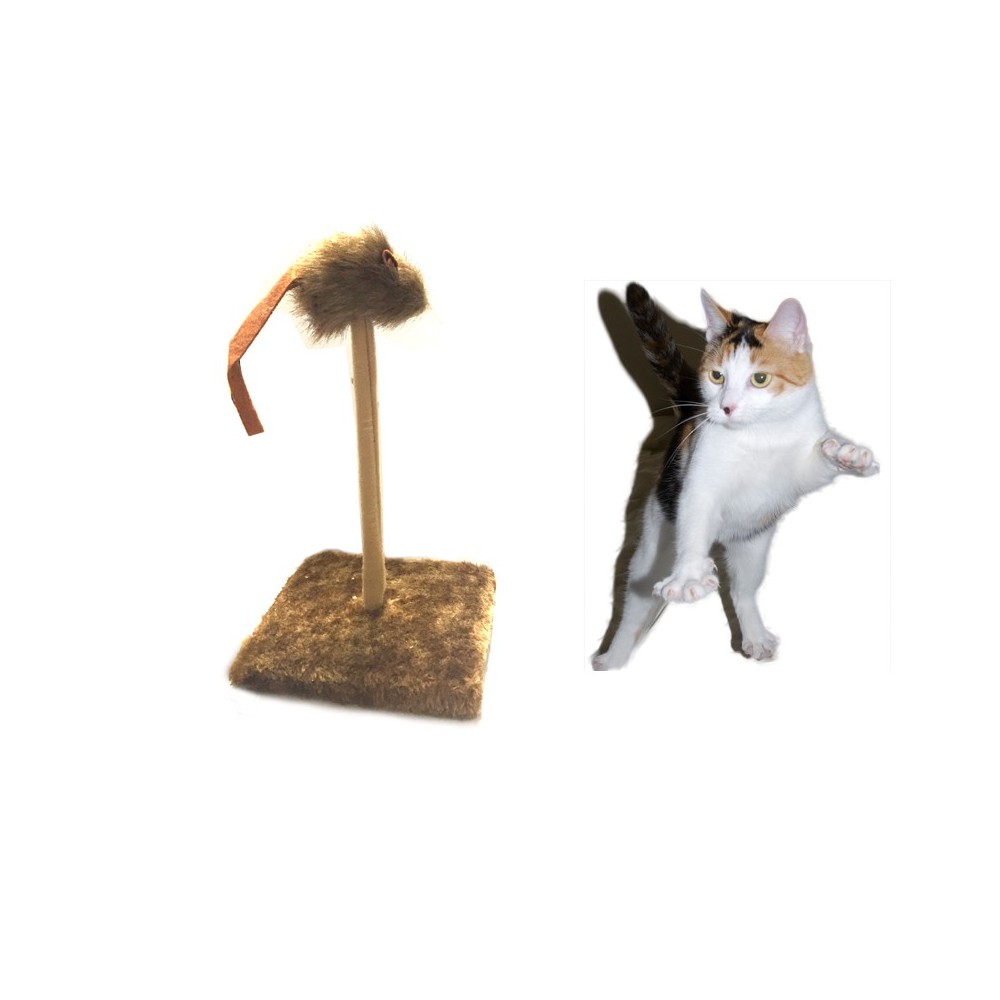 Tiragraffi con molla topino oscillante a peluche gioco  per gatti