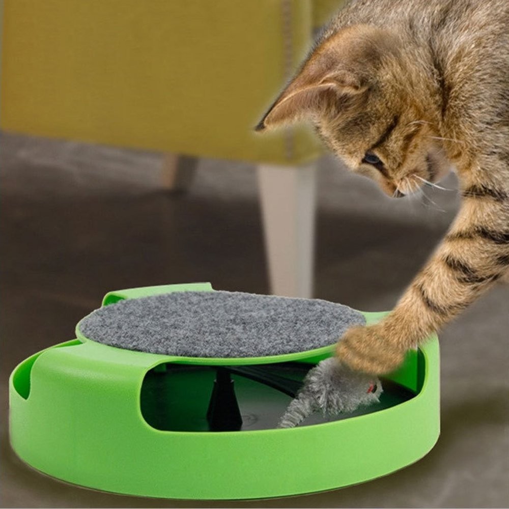 Gioco per gatti Acchiappa il topo duplice funzione con tiragraffi