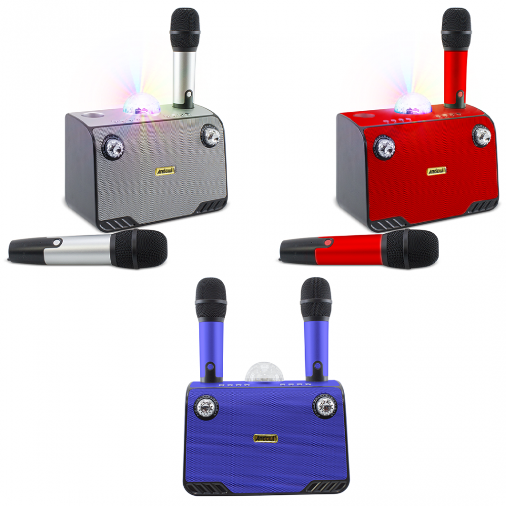 Karaoke Wireless Speaker Bluetooth 714386 Altoparlante Portatile con 2 Microfoni