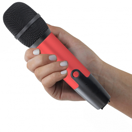 Karaoke Wireless Speaker Bluetooth 714386 Altoparlante Portatile con 2 Microfoni