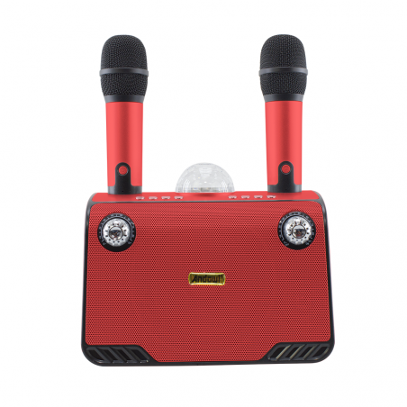 Karaoke Wireless Speaker Bluetooth 714386 Altoparlante Portatile con 2 Microfoni
