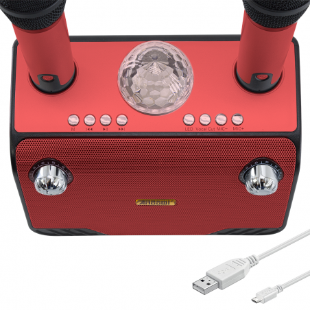 Karaoke Wireless Speaker Bluetooth 714386 Altoparlante Portatile con 2 Microfoni