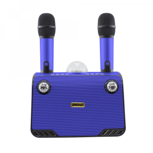 Karaoke Wireless Speaker Bluetooth 714386 Altoparlante Portatile con 2 Microfoni