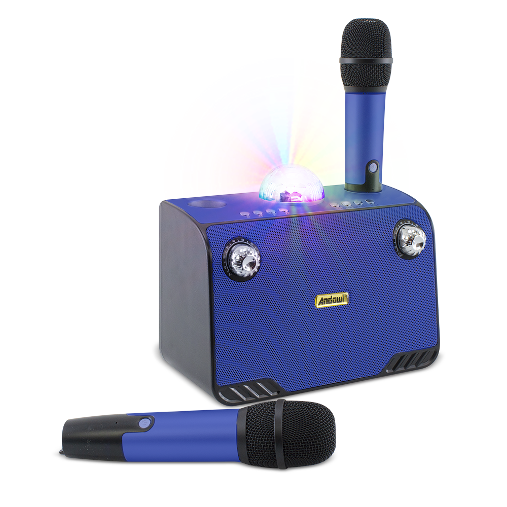 Karaoke Wireless Speaker Bluetooth 714386 Altoparlante Portatile con 2 Microfoni