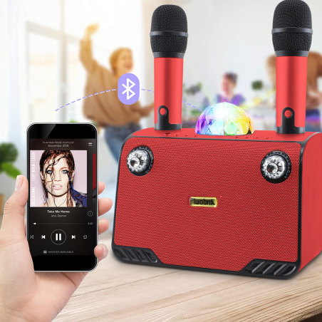 Karaoke Wireless Speaker Bluetooth 714386 Altoparlante Portatile con 2 Microfoni