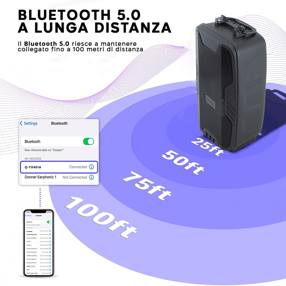 Cassa Bluetooth Amplificata Radio FM Portatile...
