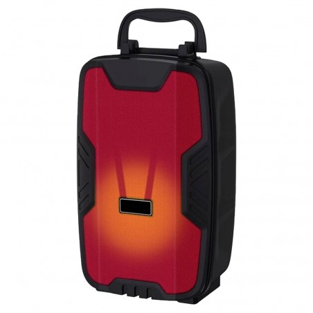 Cassa Bluetooth Amplificata Radio FM Portatile Batteria Ricaricabile e Microfono